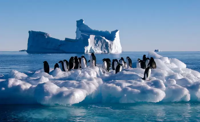 Έσπασε ρεκόρ η θερμοκρασία στην Ανταρκτική - Πού έφτασε ο υδράργυρος