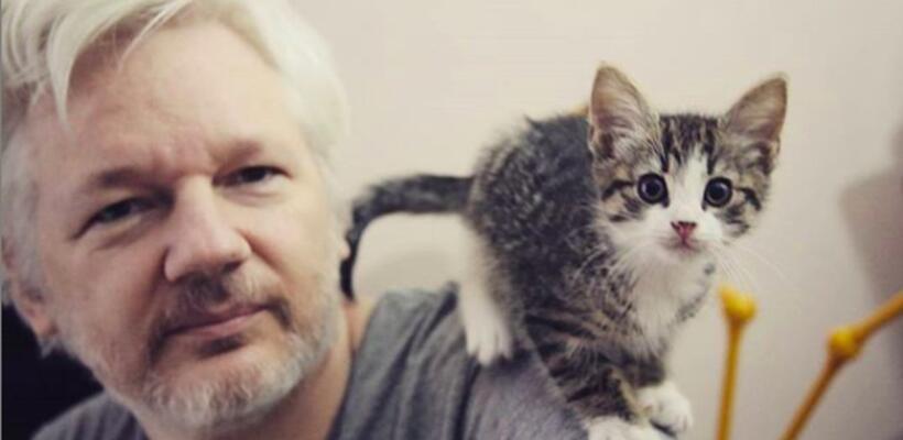 WikiLeaks: Ο γάτος του Ασάνζ είναι ασφαλής