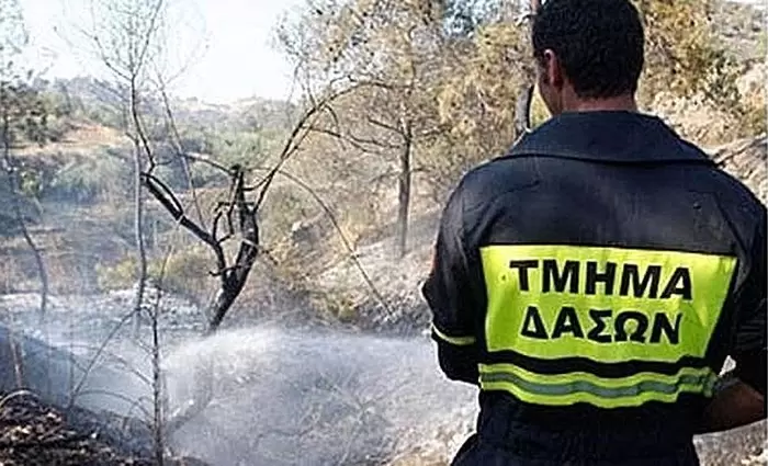 Κοινό μέτωπο συντεχνιών κατά πολιτικών με φόντο το Τμήμα Δασών