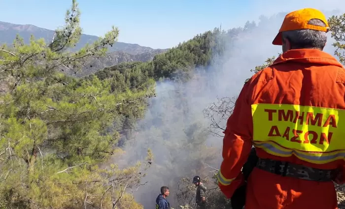 Αστελέχωτες παραμένουν 27 «απόλυτα αναγκαίες» θέσεις του Τμ. Δασών