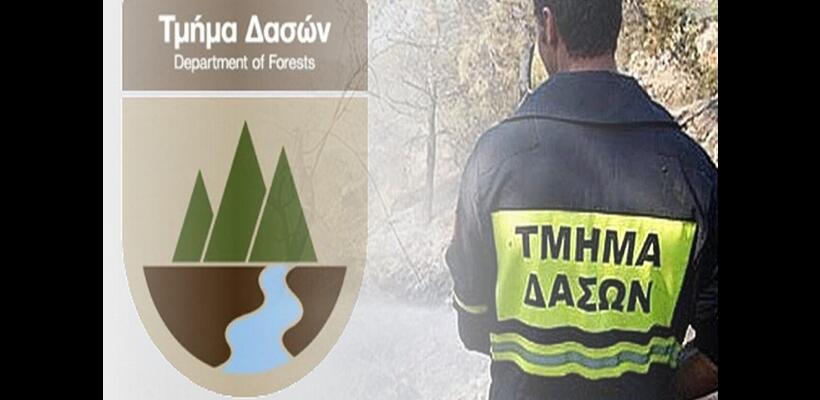 Θέση εργασίας στο Τμήμα Δασών – Όλες οι πληροφορίες