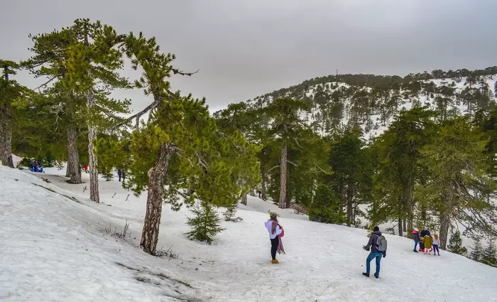 Πήραν τα χιονισμένα βουνά του Τροόδους οι εκδρομείς