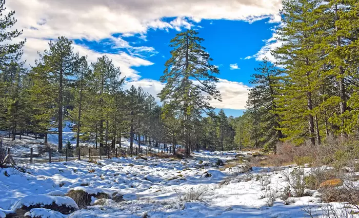 Στοχεύουν στην ανάπτυξη των ορεινών περιοχών