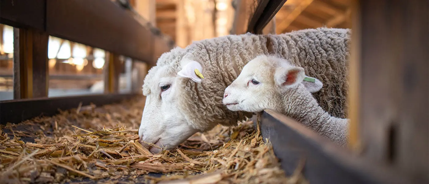 Οικονομική στήριξη ζητούν αγροτικές οργανώσεις