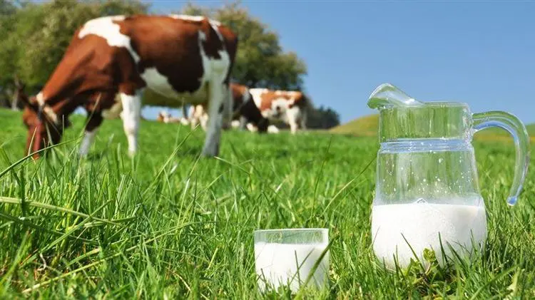 Επιτυχία έφεσης ΕΠΑ σε Εφετείο για ποινές σε ΠΟΑ