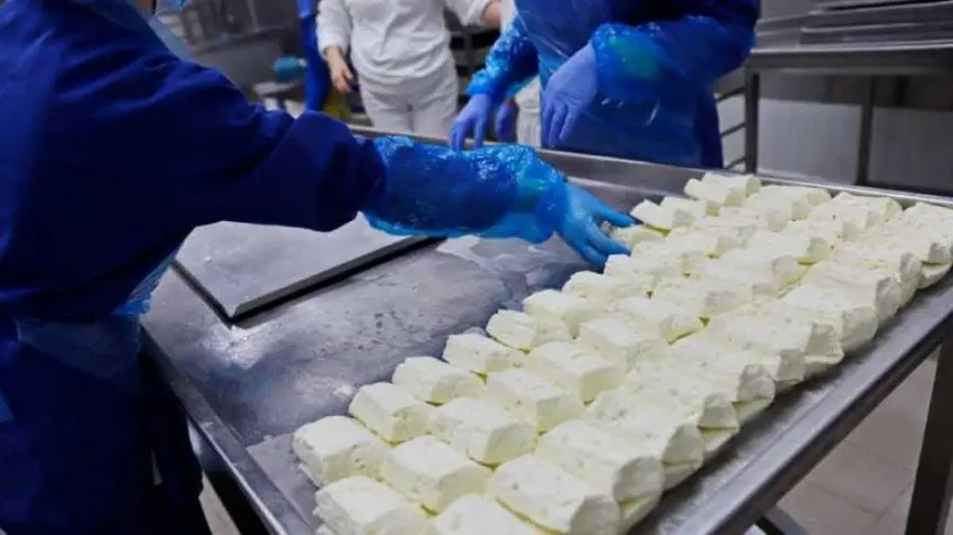 Σύνδ. Τυροκόμων: Τα προϊόντα είναι απόλυτα ασφαλή για κατανάλωση