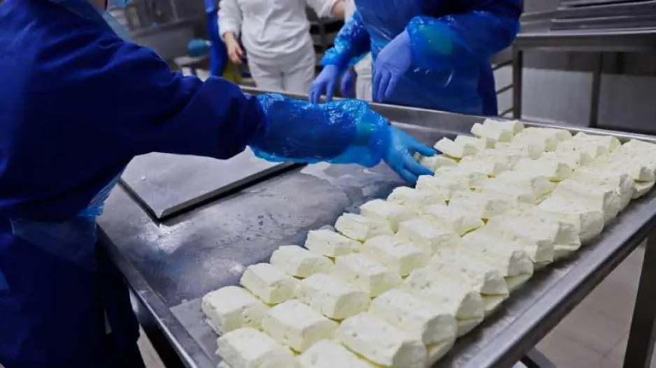 Νέο Συμβούλιο στο Σύνδεσμο Τυροκόμων Κύπρου