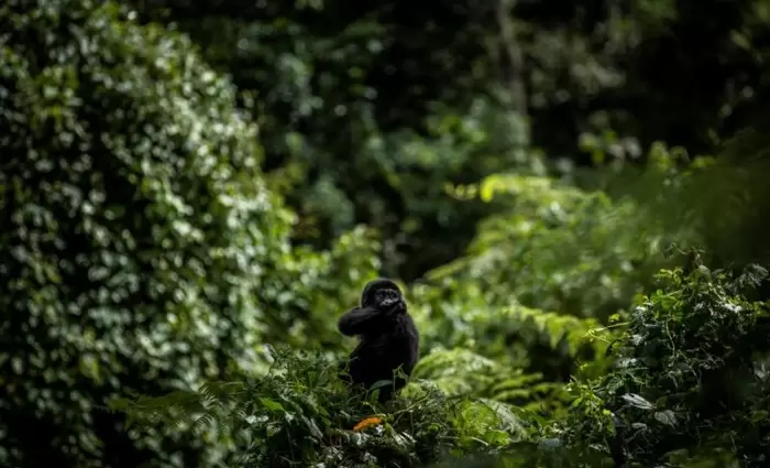 Αυτή η τουριστική εμπειρία κοστίζει 800 δολάρια για μια ώρα αλλά αξίζει τον κόπο