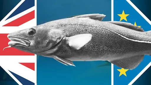 Γιατί Ευρωπαίοι και Βρετανοί μαλώνουν για τα ψάρια
