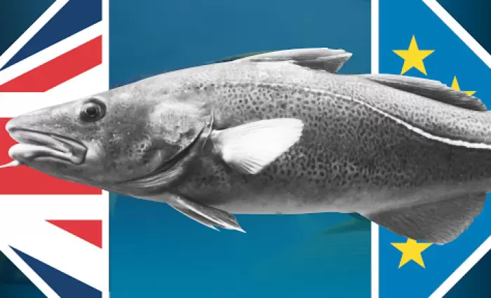 Γιατί Ευρωπαίοι και Βρετανοί μαλώνουν για τα ψάρια