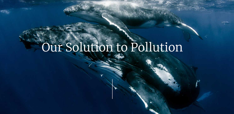 Εταιρική Κοινωνική Ευθύνη: BSM