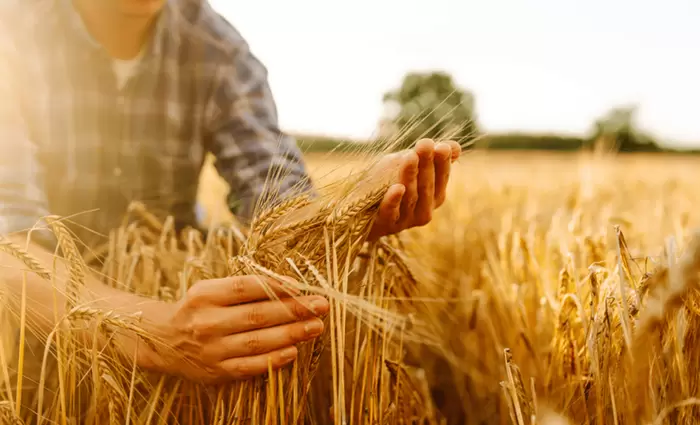 Πώς θα ανοίξει ο δρόμος για την επόμενη γενιά αγροτών της Ευρώπης
