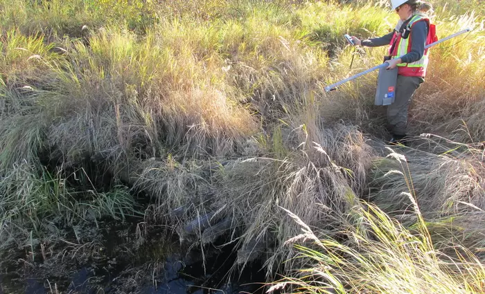 Και εγένετο... «Επιθεωρητής Περιβάλλοντος» - Τι είναι, πότε και πού θα εφαρμοστεί