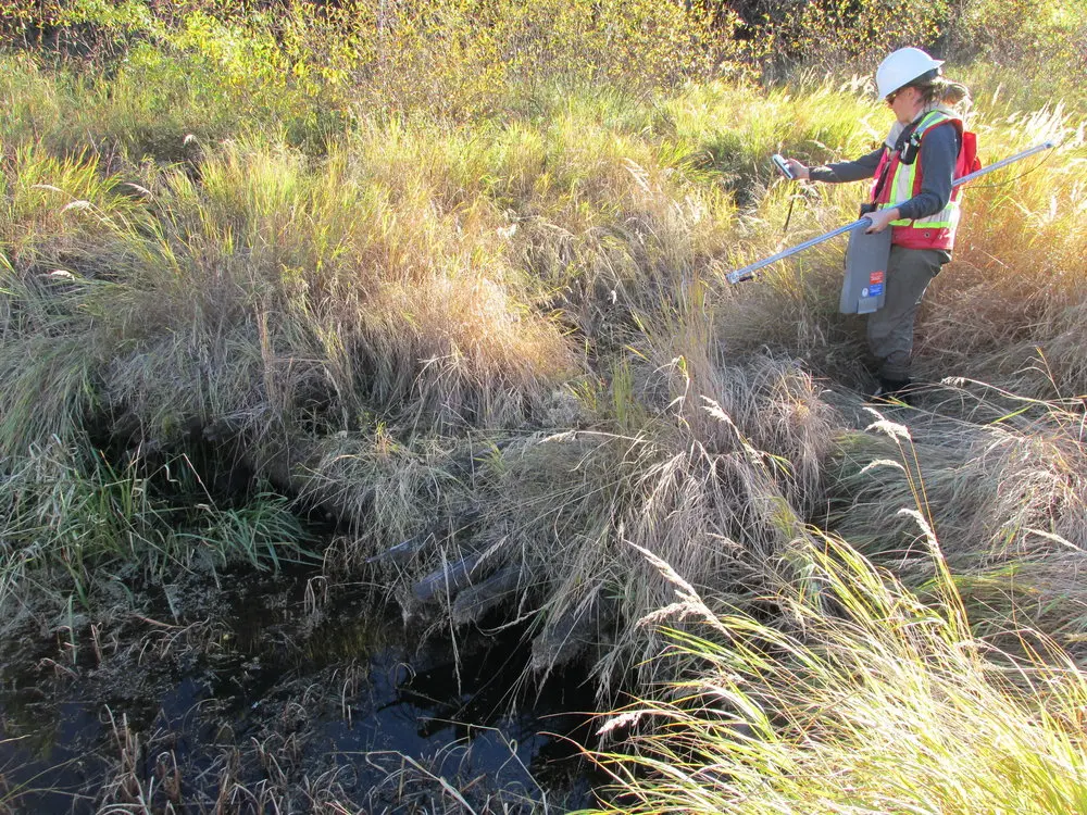 Και εγένετο... «Επιθεωρητής Περιβάλλοντος» - Τι είναι, πότε και πού θα εφαρμοστεί