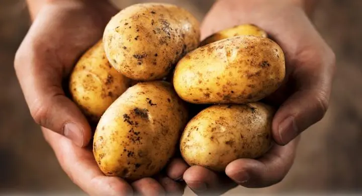 Εκατομμύρια κέρδη από το παραεμπόριο των πατατών