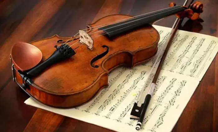 Αυτή είναι η χώρα με τις μεγαλύτερες εξαγωγές βιολιού στην ΕΕ