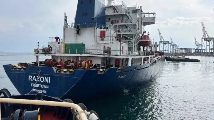 Επιθεώρησαν το πρώτο πλοίο που μεταφέρει ουκρανικά δημητριακά