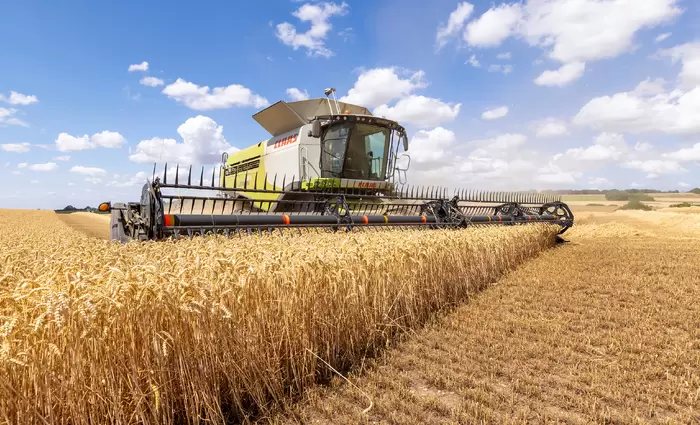 Παγκόσμια ανησυχία για το σιτάρι – Μειωμένες εξαγωγές, αυξημένες τιμές