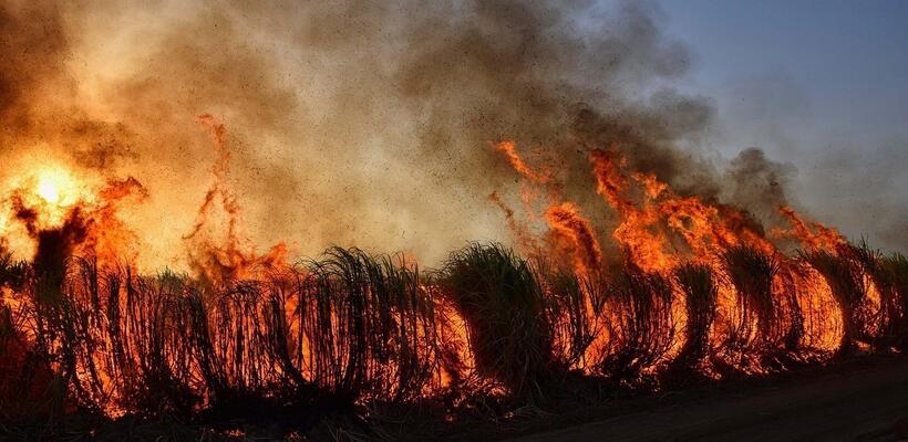Η τεχνητή νοημοσύνη στη μάχη κατά των δασικών πυρκαγιών