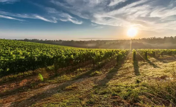 Ο Υπουργός Γεωργίας κατέγραψε τα αγροτικά προβλήματα στα κρασοχώρια