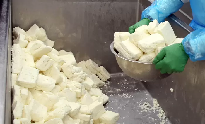 Στους δρόμους οι αιγοπροβατοτρόφοι για το χαλούμι