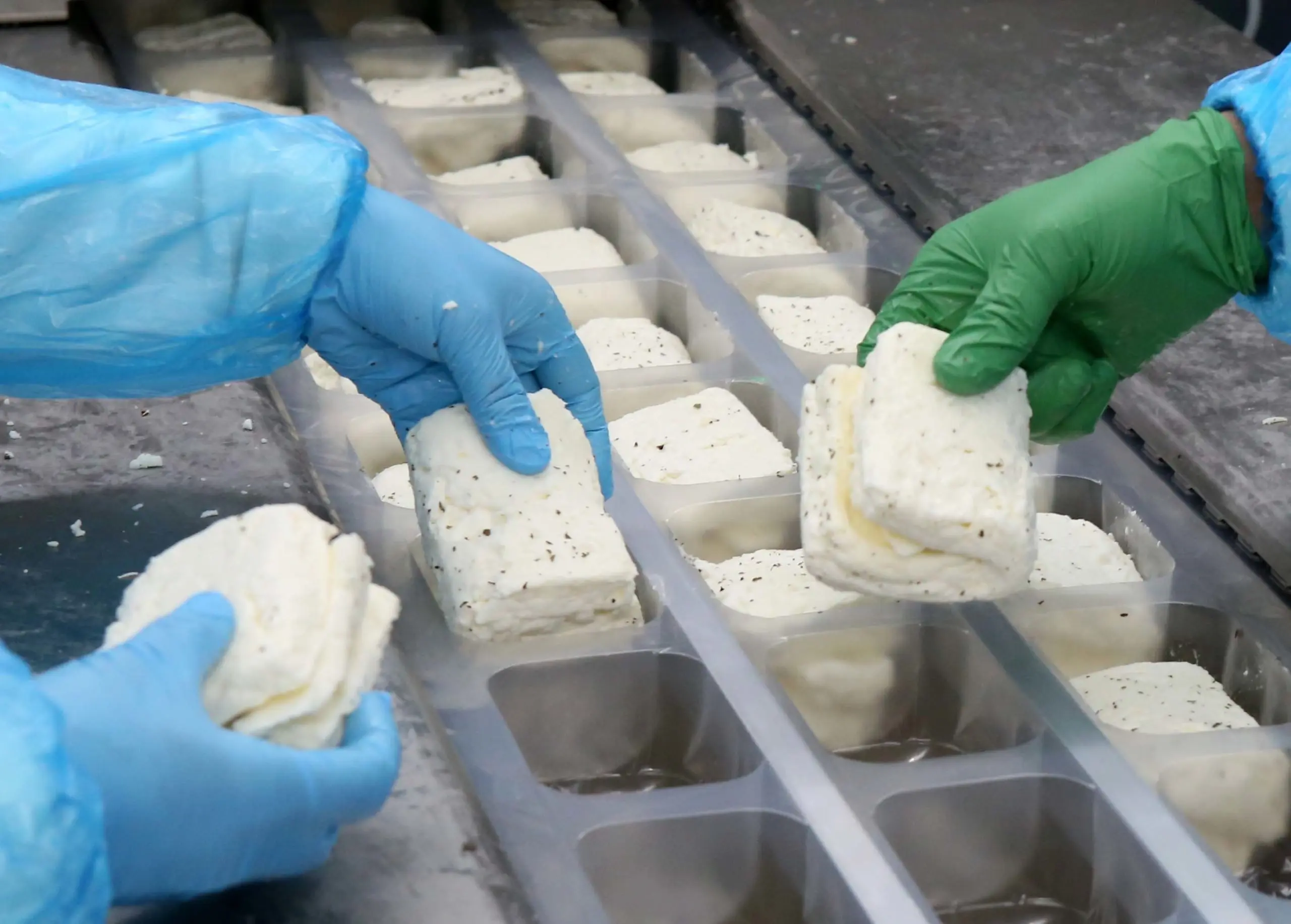 Παραλήφθηκε τελικά το επιπλέον γάλα από τυροκόμους