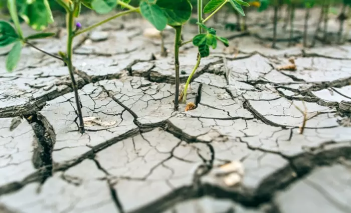 Πρωτοφανής ξηρασία πλήττει Ευρώπη και Μεσόγειο - Πάνω από το 51% των εδαφών σε κίνδυνο