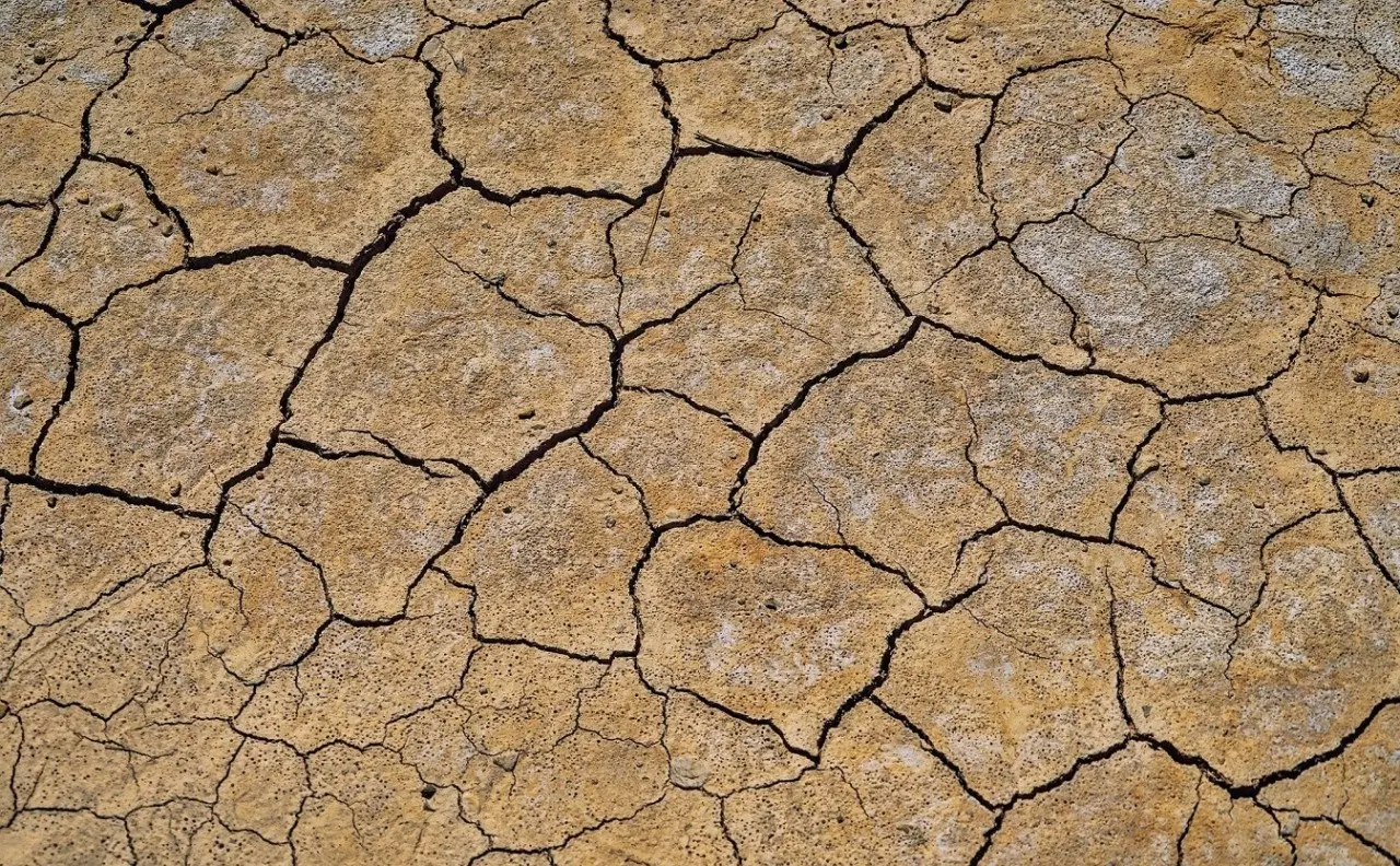 Πώς η ξηρασία στο Μαρόκο θα επηρεάσει παγκοσμίως την αλυσίδα τροφίμων