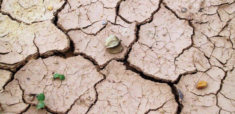 Πώς η AI επιδεινώνει τη λειψυδρία στην ΕΕ