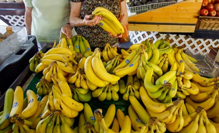 Chiquita: Έρχονται αυξήσεις στις τιμές της μπανάνας – Η απειλή του Ελ Νίνιο και το δύσκολο 2027