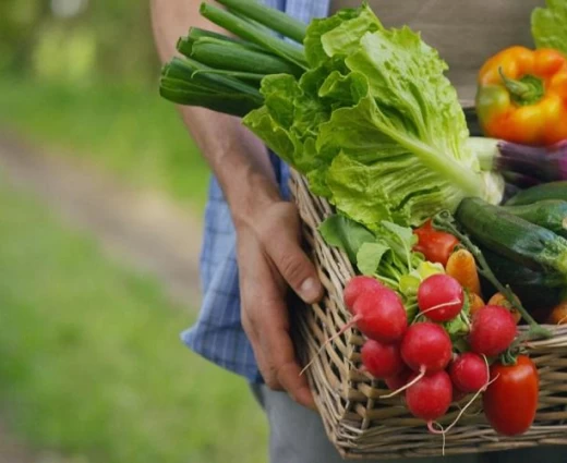 FAO: Μια παρατεταμένη κρίση στα Στενά του Ορμούζ θέτει σε κίνδυνο τα αγροδιατροφικά συστήματα