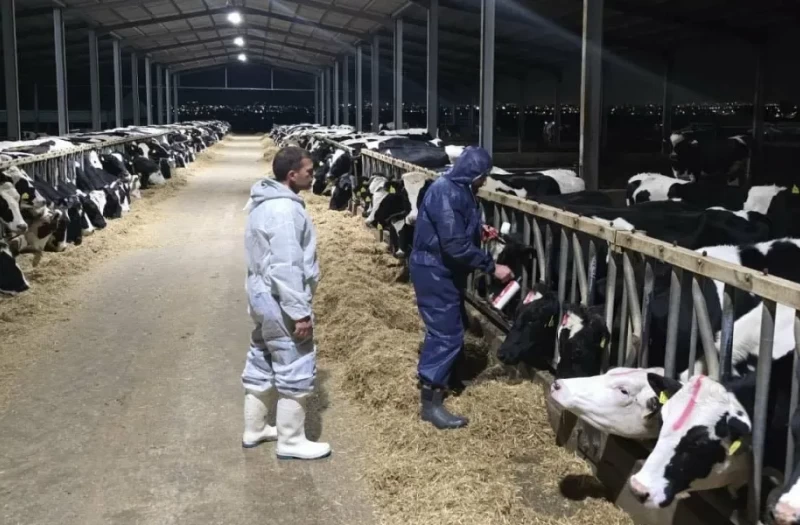 Αφθώδης πυρετός: Επιπτώσεις και μέτρα στο επίκεντρο συνάντησης ΚΟΑΠ - Στ. Μαλά