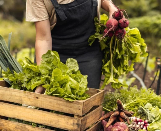 Σχέδιο στήριξης αγροτών για λιπάσματα και εφόδια λόγω ενεργειακής κρίσης