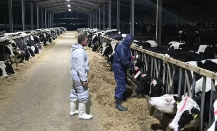 Ποιμνιοτρόφοι: Έντονη αβεβαιότητα στον κλάδο λόγω αφθώδους πυρετού