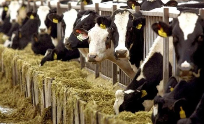 Αγελαδοτρόφοι: Ανάγκη ενίσχυσης επιτήρησης της Πράσινης Γραμμής