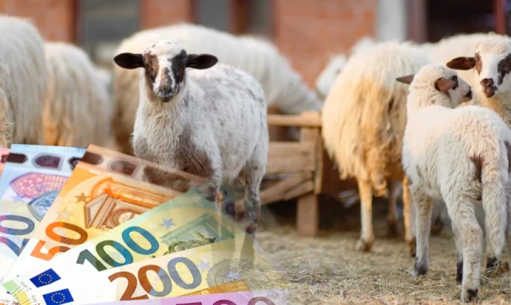 Πράσινο φως από το Υπουργικό για αποζημιώσεις €35,6 εκατ. στους κτηνοτρόφους