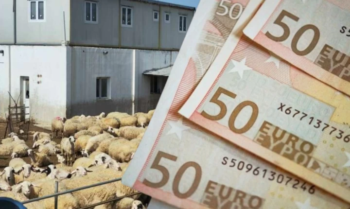 Διευκρινίσεις για τις αποζημιώσεις των κτηνοτρόφων - Πάνω από €35,6 εκατ. για στήριξη και ανασυγκρότηση