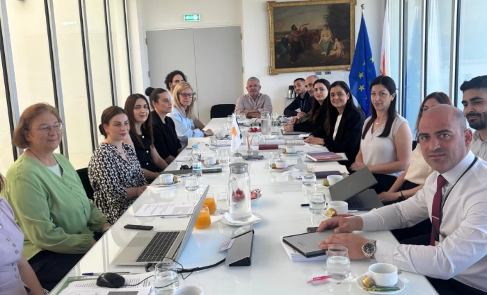 Παπαέλληνα: Σταθερή η βούληση της Κυβέρνησης για στήριξη των ατόμων με αναπηρίες