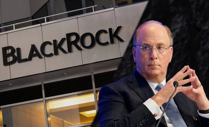 BlackRock: Οι πλούσιες απολαβές του CEO δεν πολυάρεσαν στους μετόχους
