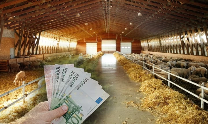 Α. Γρηγορίου: Σε εξέλιξη οι αποζημιώσεις για τον αφθώδη πυρετό