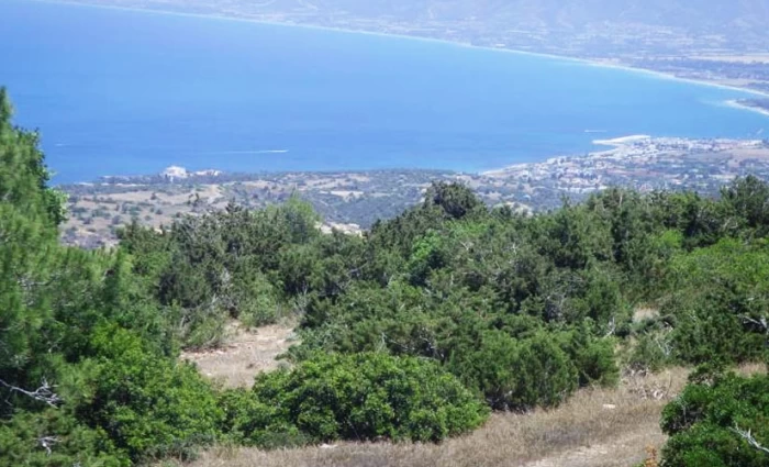 Ανοίγουν οι αιτήσεις για τα αντισταθμιστικά μέτρα στον Ακάμα - Έως €6.600 τον χρόνο για ιδιοκτήτες γης